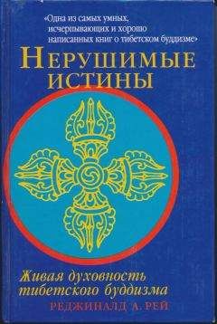 Реджинальд Рей - Нерушимые истины - Читать 📖 Читать онлайн 👀 Читаемые книги читать онлайн бесплатно 🔥 booksread-online.com