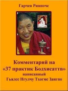 Гарчен Ринпоче - Комментарий на «37 практик Бодхисаттв» - Читать 📖 Читать онлайн 👀 Читаемые книги читать онлайн бесплатно 🔥 booksread-online.com