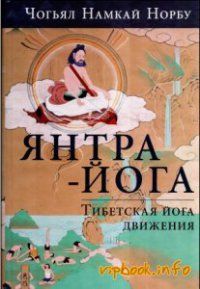 Намкай Ринпоче - Введение в янтра-йогу - Читать | Читать онлайн | Читаемые книги читать онлайн бесплатно | booksread-online.com