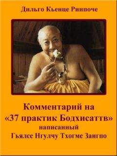 Дильго Кьенце - Комментарий на «37 практик Бодхисаттв» - Читать 📖 Читать онлайн 👀 Читаемые книги читать онлайн бесплатно 🔥 booksread-online.com