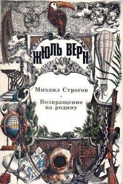 Жюль Верн - Возвращение на родину - Читать 📖 Читать онлайн 👀 Читаемые книги читать онлайн бесплатно 🔥 booksread-online.com