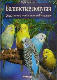 Хорст Бильфельд - Волнистые попугаи - Читать 📖 Читать онлайн 👀 Читаемые книги читать онлайн бесплатно 🔥 booksread-online.com