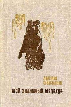 Анатолий Севастьянов - Мой знакомый медведь - Читать 📖 Читать онлайн 👀 Читаемые книги читать онлайн бесплатно 🔥 booksread-online.com