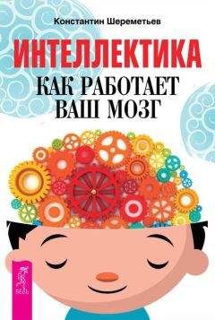 Константин Шереметьев - Интеллектика. Как работает ваш мозг - Читать | Читать онлайн | Читаемые книги читать онлайн бесплатно | booksread-online.com