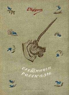 Евгений Чарушин - Охотничьи рассказы - Читать 📖 Читать онлайн 👀 Читаемые книги читать онлайн бесплатно 🔥 booksread-online.com
