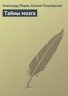 Александр Морок - Тайны мозга - Читать 📖 Читать онлайн 👀 Читаемые книги читать онлайн бесплатно 🔥 booksread-online.com