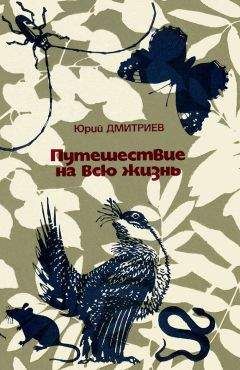 Юрий Дмитриев - Путешествие на всю жизнь - Читать 📖 Читать онлайн 👀 Читаемые книги читать онлайн бесплатно 🔥 booksread-online.com