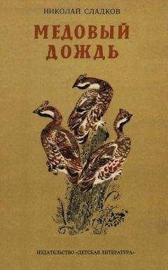 Николай Сладков - Медовый дождь - Читать 📖 Читать онлайн 👀 Читаемые книги читать онлайн бесплатно 🔥 booksread-online.com