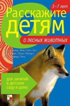 Э. Емельянова - Расскажите детям о лесных животных - Читать 📖 Читать онлайн 👀 Читаемые книги читать онлайн бесплатно 🔥 booksread-online.com