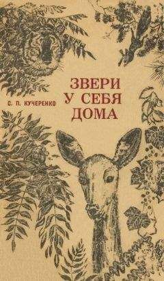 Сергей Кучеренко - Звери у себя дома - Читать 📖 Читать онлайн 👀 Читаемые книги читать онлайн бесплатно 🔥 booksread-online.com