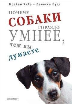 Брайан Хэйр - Почему собаки гораздо умнее, чем вы думаете - Читать 📖 Читать онлайн 👀 Читаемые книги читать онлайн бесплатно 🔥 booksread-online.com
