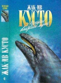 Жак-Ив Кусто - Могучий властелин морей. Чтобы не было в море тайн - Читать 📖 Читать онлайн 👀 Читаемые книги читать онлайн бесплатно 🔥 booksread-online.com
