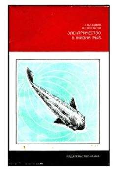 Александр Лаздин - Электричество в жизни рыб - Читать 📖 Читать онлайн 👀 Читаемые книги читать онлайн бесплатно 🔥 booksread-online.com