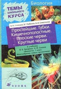 В. Алексеев - Простейшие. Губки. Кишечнополостные. Плоские черви. Круглые черви - Читать | Читать онлайн | Читаемые книги читать онлайн бесплатно | booksread-online.com