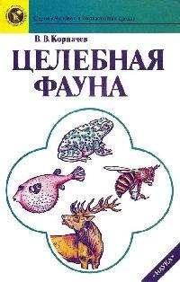Вадим Корпачев - Целебная фауна - Читать 📖 Читать онлайн 👀 Читаемые книги читать онлайн бесплатно 🔥 booksread-online.com