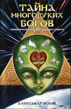 Александр Белов - Тайна многоруких богов - Читать 📖 Читать онлайн 👀 Читаемые книги читать онлайн бесплатно 🔥 booksread-online.com