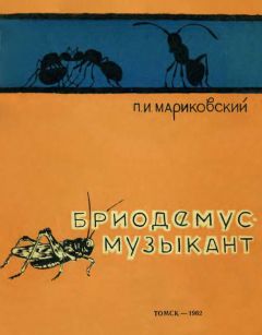 Павел Мариковский - Бриодемус-музыкант - Читать 📖 Читать онлайн 👀 Читаемые книги читать онлайн бесплатно 🔥 booksread-online.com