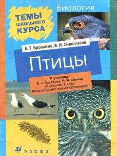 Евгения Бровкина - Птицы - Читать 📖 Читать онлайн 👀 Читаемые книги читать онлайн бесплатно 🔥 booksread-online.com