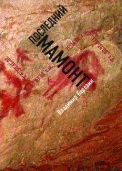 Владимир Березин - Последний мамонт - Читать 📖 Читать онлайн 👀 Читаемые книги читать онлайн бесплатно 🔥 booksread-online.com
