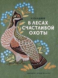 Николай Сладков - В лесах счастливой охоты - Читать 📖 Читать онлайн 👀 Читаемые книги читать онлайн бесплатно 🔥 booksread-online.com