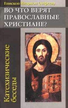 Еп.Иларион Алфеев - Во что верят православные христиане - Читать 📖 Читать онлайн 👀 Читаемые книги читать онлайн бесплатно 🔥 booksread-online.com