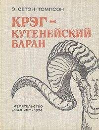 Эрнест Сетон-Томпсон - Крэг - кутенейский баран - Читать | Читать онлайн | Читаемые книги читать онлайн бесплатно | booksread-online.com