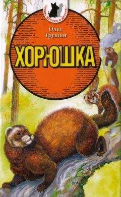 Олег Трушин - Хорюшка - Читать 📖 Читать онлайн 👀 Читаемые книги читать онлайн бесплатно 🔥 booksread-online.com