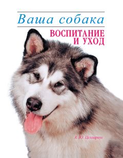 Алексей Целлариус - Ваша собака. Воспитание и уход - Читать 📖 Читать онлайн 👀 Читаемые книги читать онлайн бесплатно 🔥 booksread-online.com