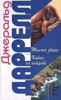 Джеральд Даррелл - Ковчег на острове - Читать 📖 Читать онлайн 👀 Читаемые книги читать онлайн бесплатно 🔥 booksread-online.com