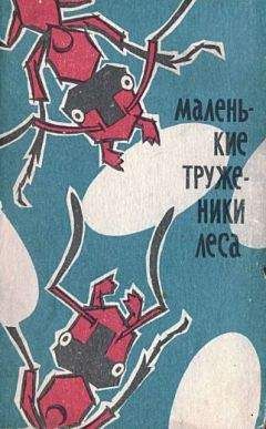 Павел Мариковский - Маленькие труженики леса - Читать 📖 Читать онлайн 👀 Читаемые книги читать онлайн бесплатно 🔥 booksread-online.com