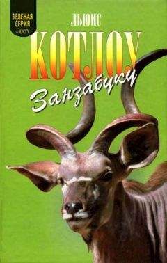 Льюис Котлоу - Занзабуку - Читать 📖 Читать онлайн 👀 Читаемые книги читать онлайн бесплатно 🔥 booksread-online.com