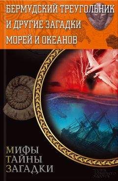 Виктор Конев - Бермудский треугольник и другие загадки морей и океанов - Читать | Читать онлайн | Читаемые книги читать онлайн бесплатно | booksread-online.com