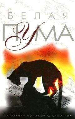 Р. Лоуренс - Белая пума - Читать | Читать онлайн | Читаемые книги читать онлайн бесплатно | booksread-online.com
