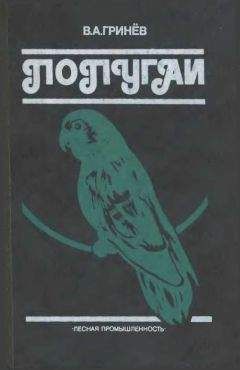Вячеслав Гринев - Попугаи - Читать 📖 Читать онлайн 👀 Читаемые книги читать онлайн бесплатно 🔥 booksread-online.com