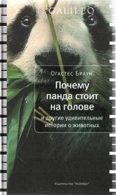 Огастес Браун - Почему панда стоит на голове и другие удивительные истории о животных - Читать 📖 Читать онлайн 👀 Читаемые книги читать онлайн бесплатно 🔥 booksread-online.com