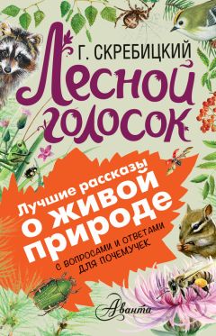 Георгий Скребицкий - Лесной голосок. С вопросами и ответами для почемучек - Читать | Читать онлайн | Читаемые книги читать онлайн бесплатно | booksread-online.com