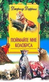Джеральд Даррел - Поймайте мне колобуса - Читать 📖 Читать онлайн 👀 Читаемые книги читать онлайн бесплатно 🔥 booksread-online.com