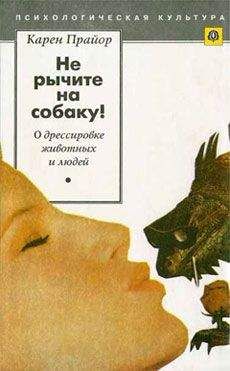 Карен Прайор - Несущие ветер - Читать 📖 Читать онлайн 👀 Читаемые книги читать онлайн бесплатно 🔥 booksread-online.com