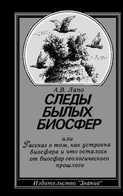 Андрей Лапо - Следы былых биосфер, или Рассказ о том, как устроена биосфера и что осталось от биосфер геологического прошлого - Читать 📖 Читать онлайн 👀 Читаемые книги читать онлайн бесплатно 🔥 booksread-online.com