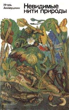 Игорь Акимушкин - Невидимые нити природы - Читать 📖 Читать онлайн 👀 Читаемые книги читать онлайн бесплатно 🔥 booksread-online.com