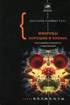 Джессика Сакс - Микробы хорошие и плохие. Наше здоровье и выживание в мире бактерий. - Читать 📖 Читать онлайн 👀 Читаемые книги читать онлайн бесплатно 🔥 booksread-online.com