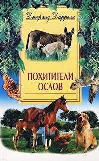 Джеральд Даррел - Похитители ослов (Ослокрады) - Читать 📖 Читать онлайн 👀 Читаемые книги читать онлайн бесплатно 🔥 booksread-online.com