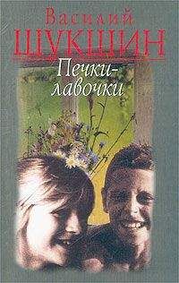Василий Шукшин - Печки-лавочки - Читать 📖 Читать онлайн 👀 Читаемые книги читать онлайн бесплатно 🔥 booksread-online.com