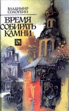 Владимир Солоухин - Продолжение времени - Читать 📖 Читать онлайн 👀 Читаемые книги читать онлайн бесплатно 🔥 booksread-online.com