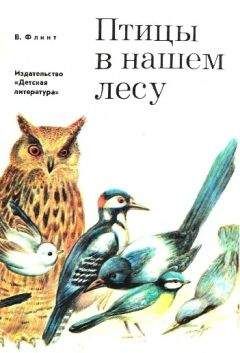 Владимир Флинт - Птицы в нашем лесу - Читать 📖 Читать онлайн 👀 Читаемые книги читать онлайн бесплатно 🔥 booksread-online.com