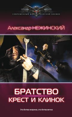 Александр Нежинский - Братство. Крест и клинок - Читать | Читать онлайн | Читаемые книги читать онлайн бесплатно | booksread-online.com