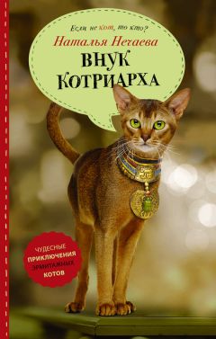 Наталья Нечаева - Внук котриарха - Читать | Читать онлайн | Читаемые книги читать онлайн бесплатно | booksread-online.com