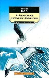 Richard Bach - Чайка по имени Джонатан Ливингстон - Читать 📖 Читать онлайн 👀 Читаемые книги читать онлайн бесплатно 🔥 booksread-online.com