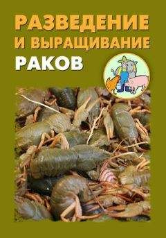 Илья Мельников - Разведение и выращивание раков - Читать 📖 Читать онлайн 👀 Читаемые книги читать онлайн бесплатно 🔥 booksread-online.com