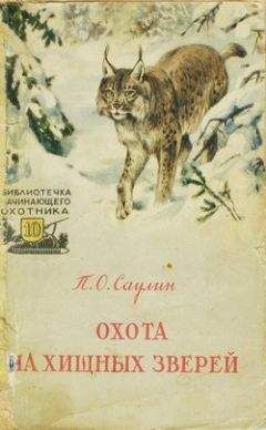 Петр Саулин - Охота на хищных зверей - Читать 📖 Читать онлайн 👀 Читаемые книги читать онлайн бесплатно 🔥 booksread-online.com